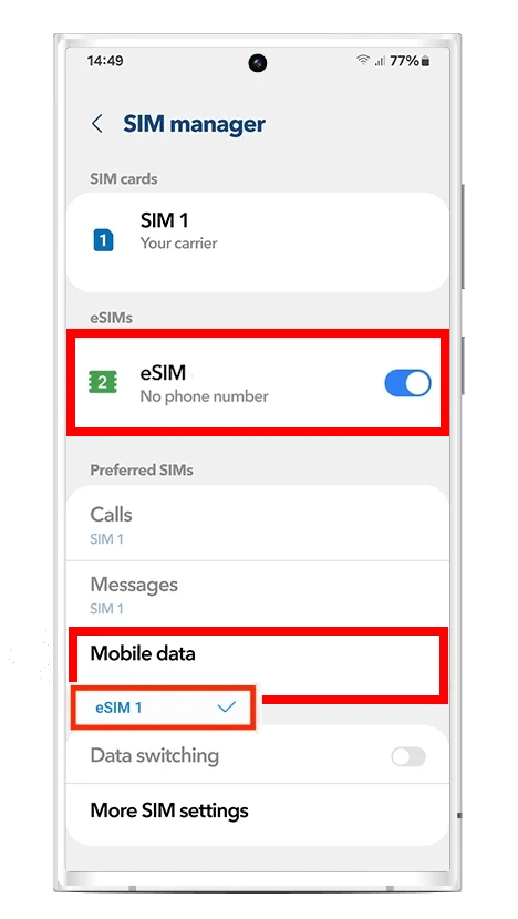 Data roaming eSIM